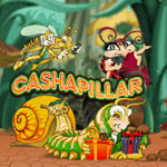 Cashapillar