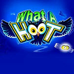 What a Hoot