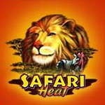 Safari Heat