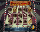 Pogos Circus