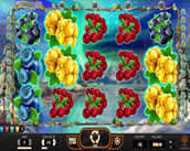 Winterberries