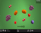 Fruit Warp