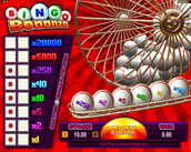 Bingo Bonanza