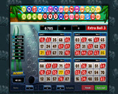Boto Bingo