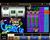 Cosmic Cat