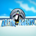 Arctic Wonders