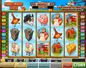 Barnstormer Bucks