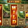 Особенности и виды дикого символа (Wild Symbol)