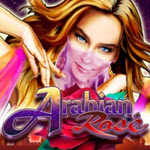Arabian Rose