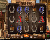 Wild Guns