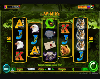 The Wildlife