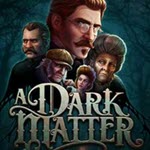 A dark matter