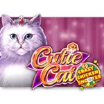 Cutie Cat