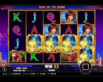 3 Genie Wishes
