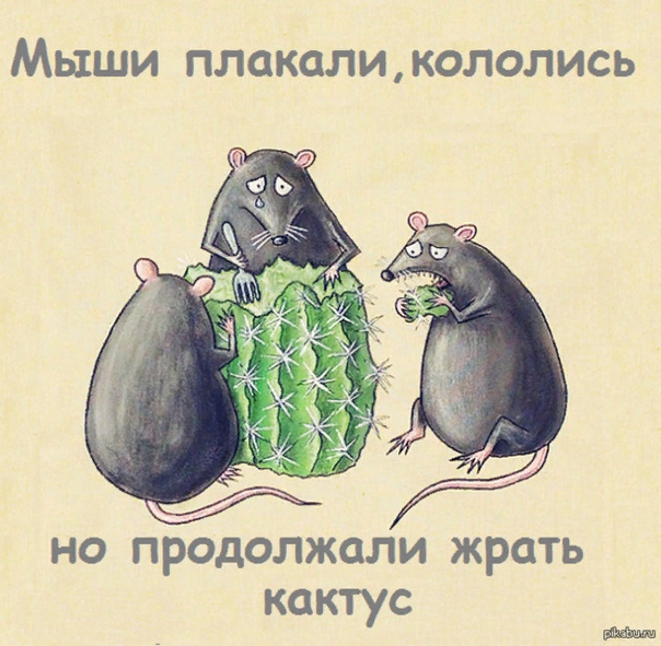 comment_20413