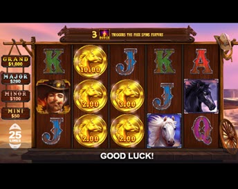 Stallion Fortunes
