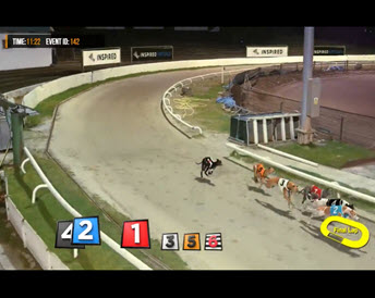 V-Play Greyhounds 2
