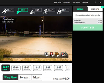 Virtual Greyhounds Races - Scheduled
