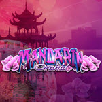 Mandarin Orchid