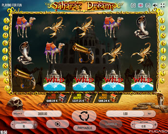 Sahara's Dreams