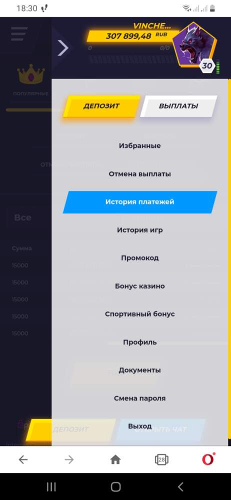 comment_224970
