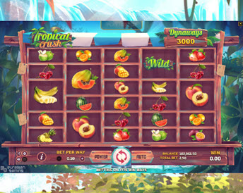 Tropical Crush