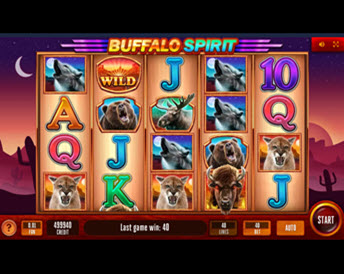 Buffalo Spirit