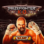 Fighter KO