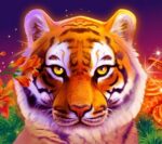 Наследие тигра в турнире от Booongo с призовыми 50 000 EUR