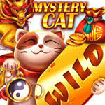 Mystery Cat