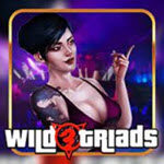 Wild Triads