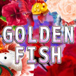 Golden Fish (AllWaySpin)