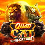 Quad Cat