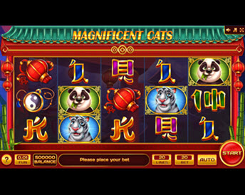 Magnificent Cats