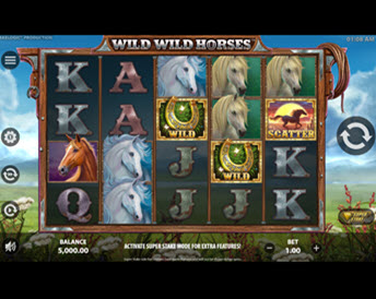 Wild Wild Horses
