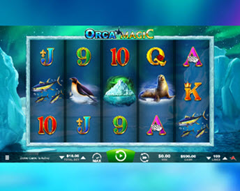 Orca Magic