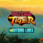 Royal Tiger
