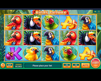Birds Deluxe