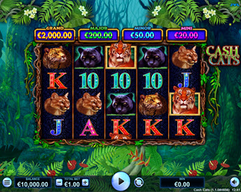 Cash Cats