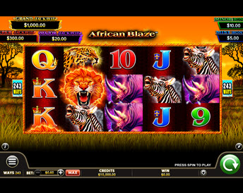 African Blaze