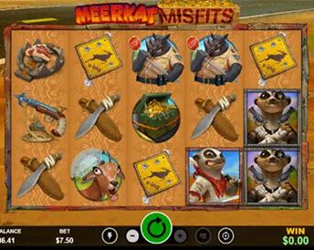 Meerkat Misfits