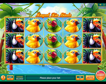 Royal Rio Birds