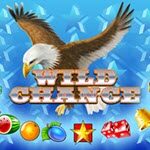 Wild Chance