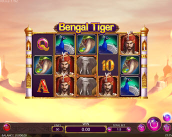 Bengal Tiger