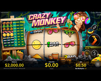 Crazy Monkey (Nextspin)