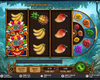Rainforest Riches