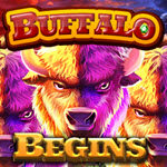 Buffalo Begins