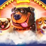 Турнир Pragmatic Play на 10 000 EUR от Cosmic Slot Casino и BurningBet Casino