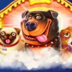 Турнир Прагматик Плей на 20 000 EUR от Cosmic Slot Casino и BurningBet Casino