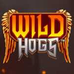 Wild Hogs